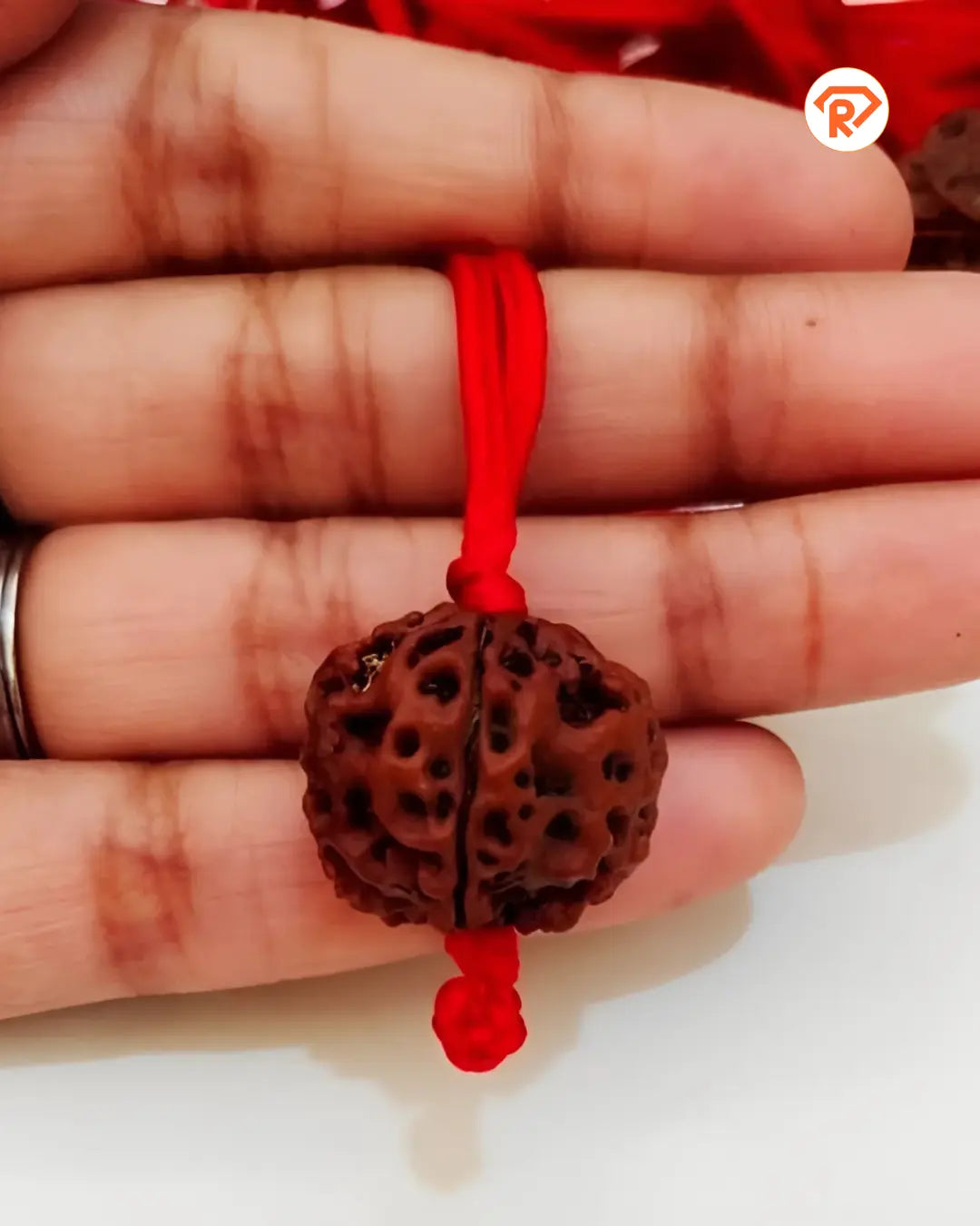 Original 5 Mukhi Rudraksha With Red Thread (Nepali)