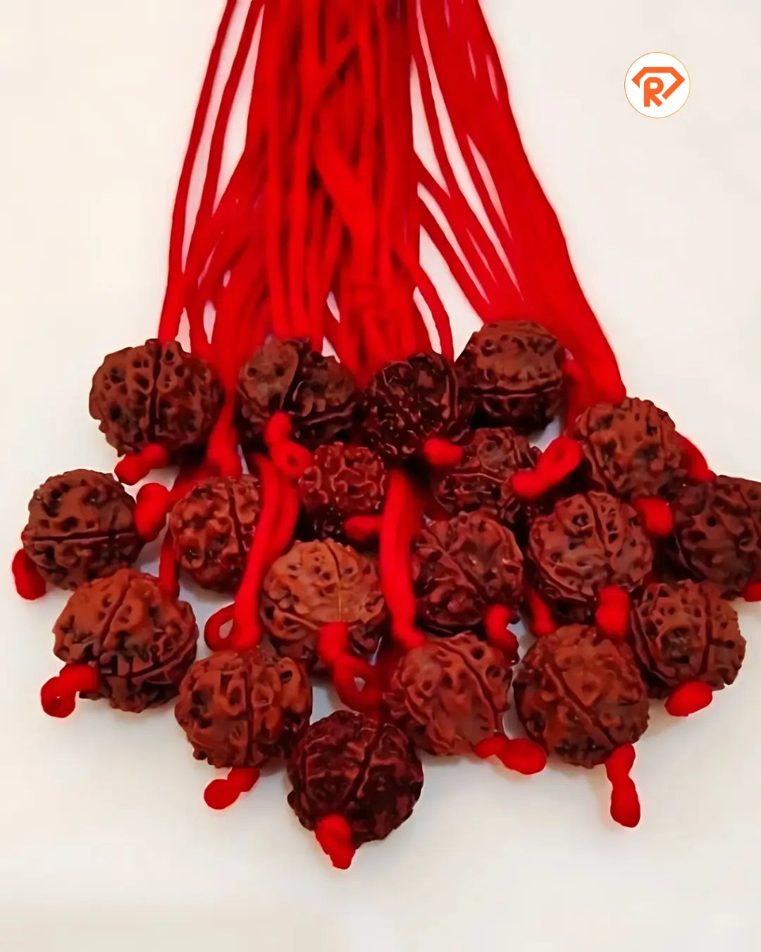 Original 5 Mukhi Rudraksha With Red Thread (Nepali)