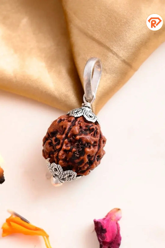 Natural 5 Mukhi Rudraksha (Nepali)
