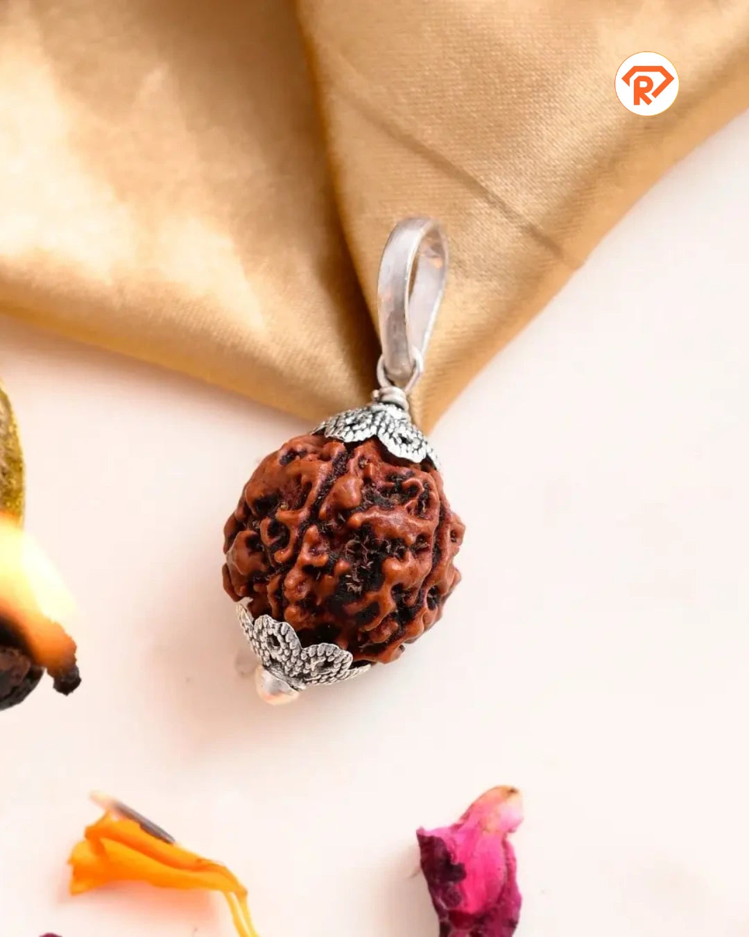 Natural 5 Mukhi Rudraksha (Nepali)