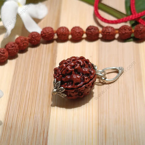 5 Mukhi Rudraksha Pendant - For Wealth | Stability | Protection