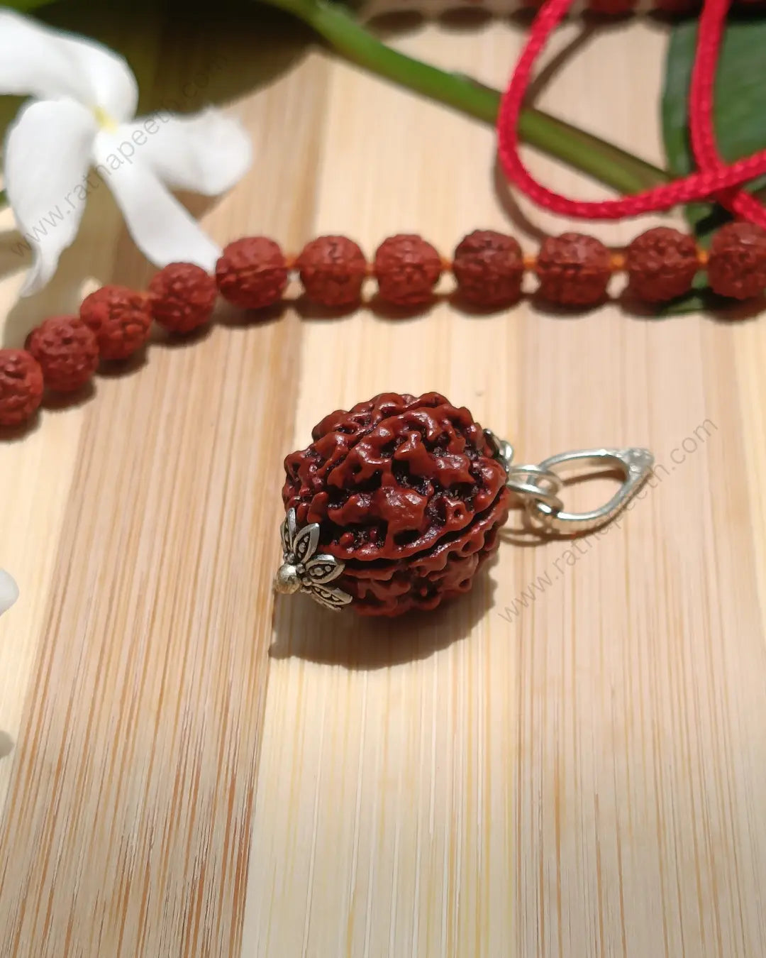 5 Mukhi Rudraksha Pendant - For Wealth | Stability | Protection