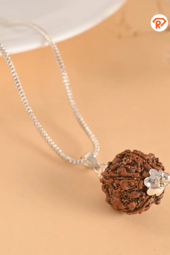 Natural 5 Mukhi Rudraksha (Nepali)