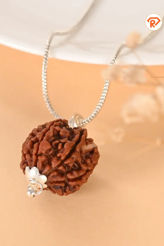 Natural 7 Mukhi Rudraksha (Nepali)