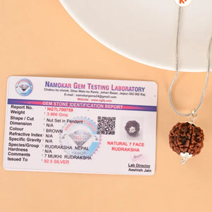 Natural 7 Mukhi Rudraksha (Nepali)