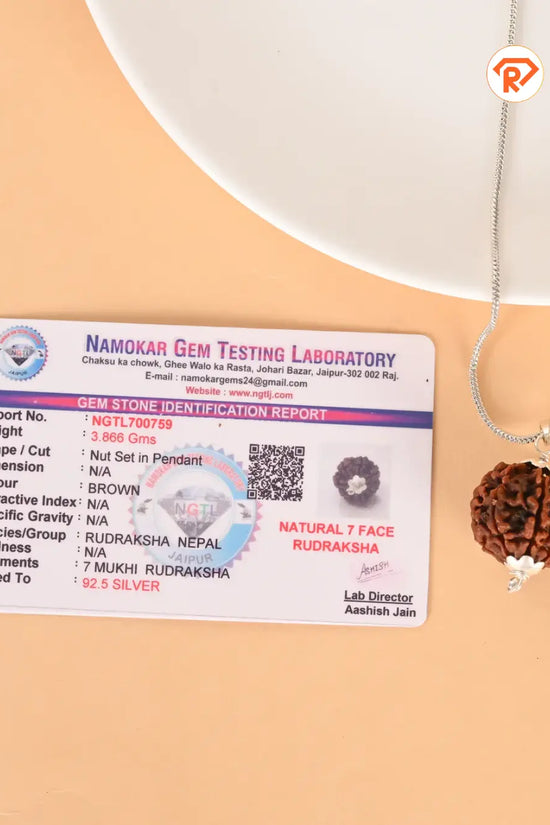 Natural 7 Mukhi Rudraksha (Nepali)