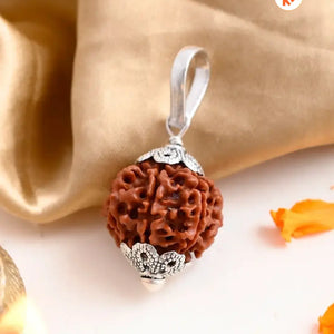 Natural 7 Mukhi Rudraksha (Nepali)