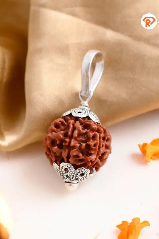 Natural 7 Mukhi Rudraksha (Nepali)