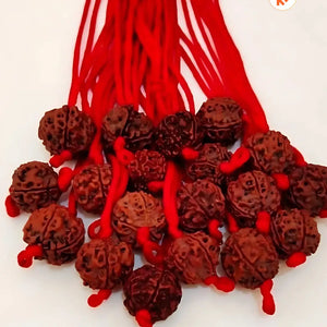 Original 5 Mukhi Rudraksha With Red Thread (Nepali)