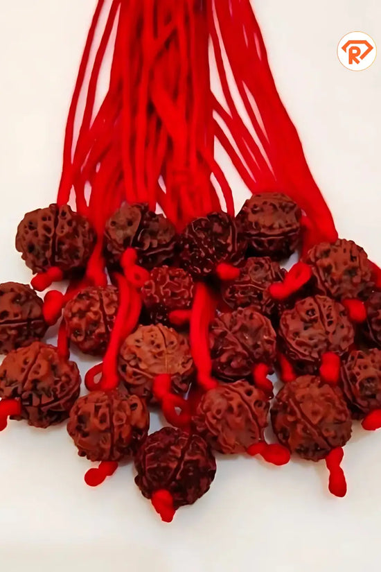 Original 5 Mukhi Rudraksha With Red Thread (Nepali)