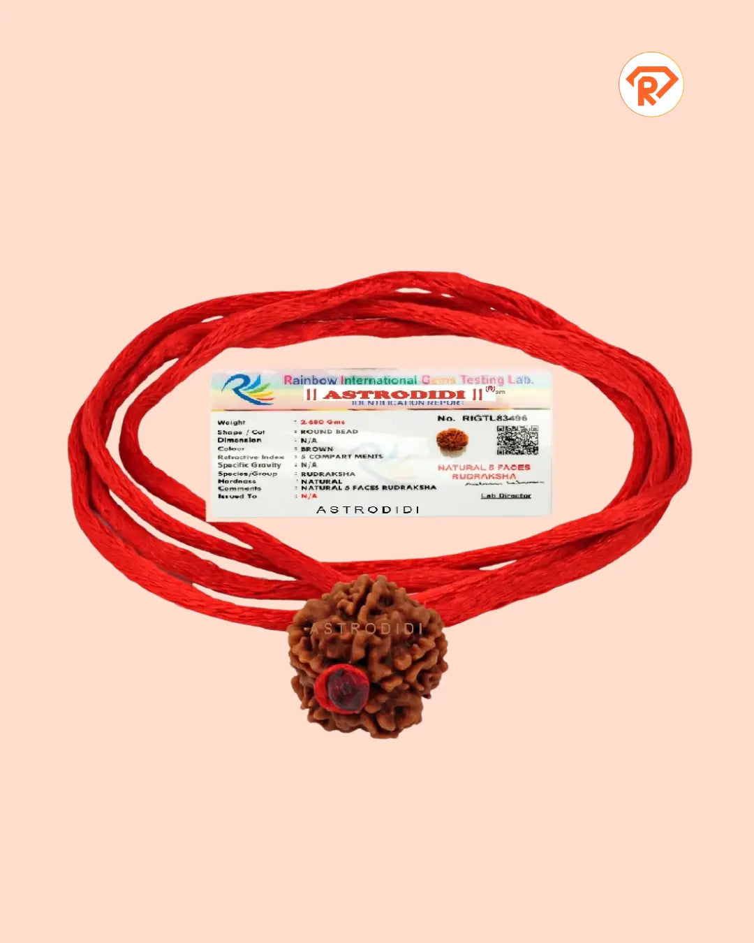 Original 5 Mukhi Rudraksha With Red Thread (Nepali)
